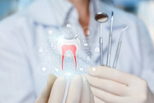 Professional  Holistic Dental Services in Friendswood, TX